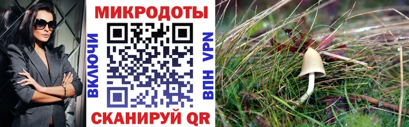 Галлюциногенные грибы Magic Shrooms где купить наркотик блэк спрут как войти Жигулёвск